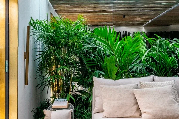 Jardim de inverno: Uso de vidro para criar ambientes internos conectados à natureza